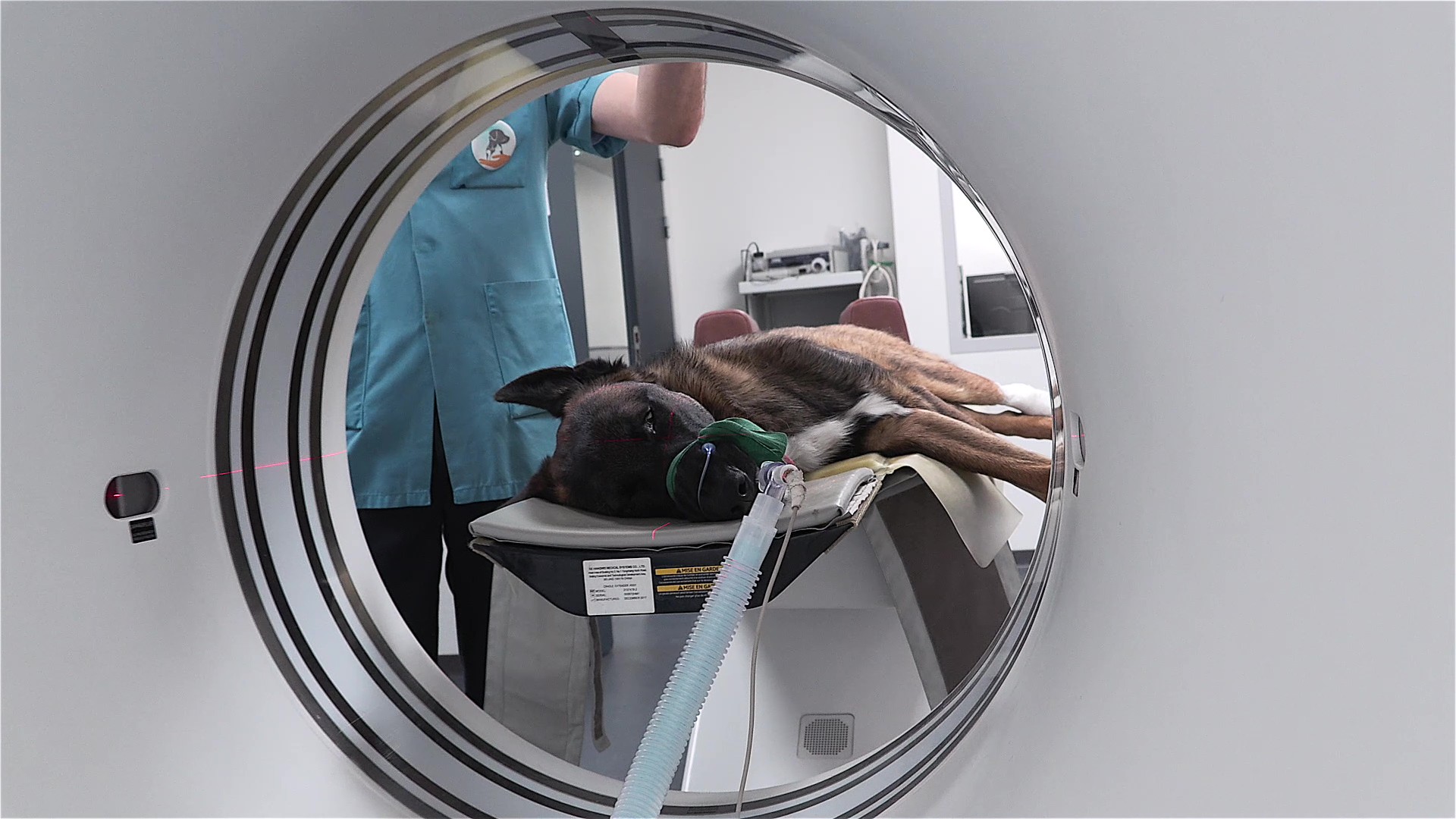 Prise en charge chat